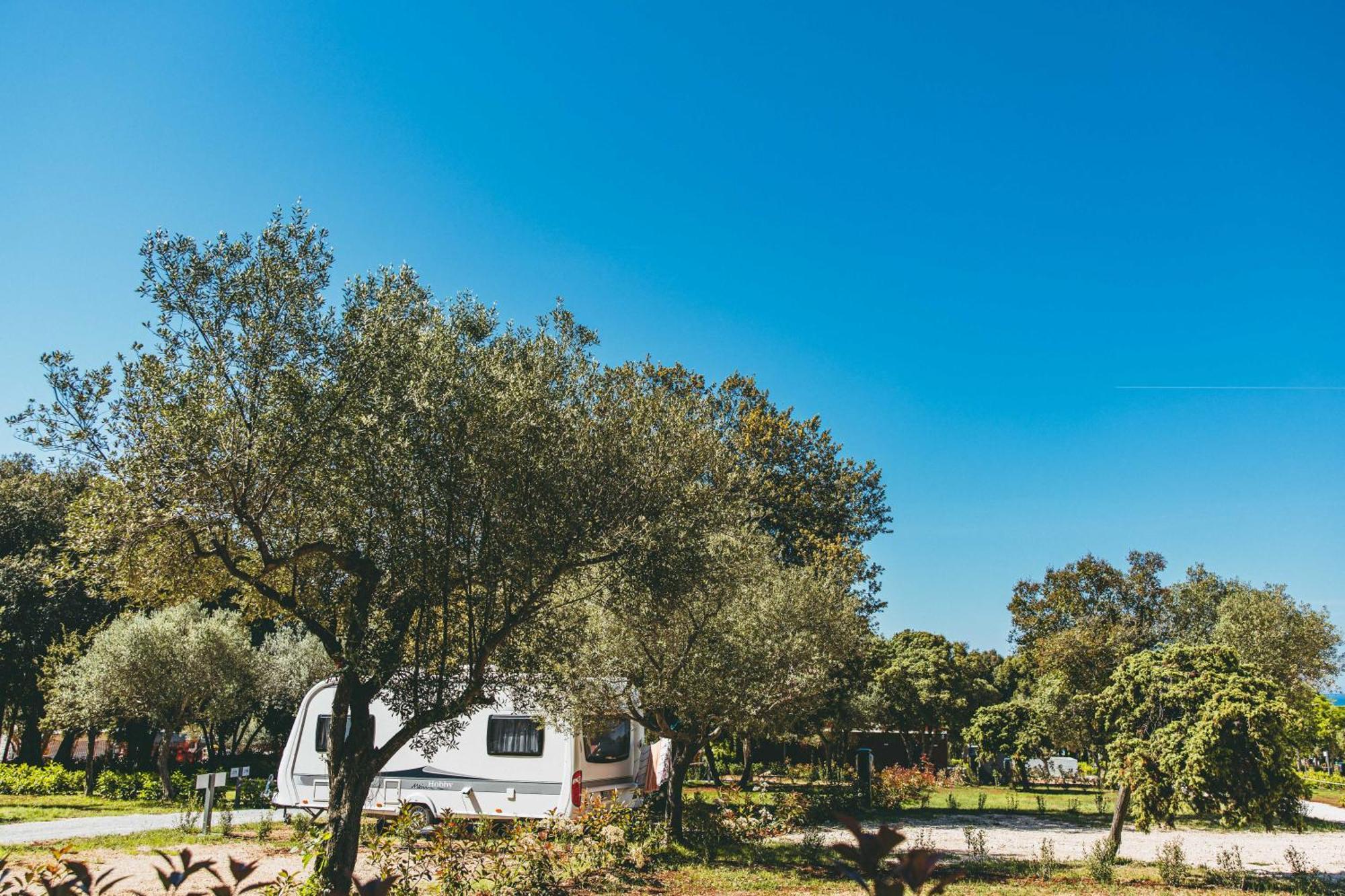 Camping Maistra Amarin Pitches Rovinj
