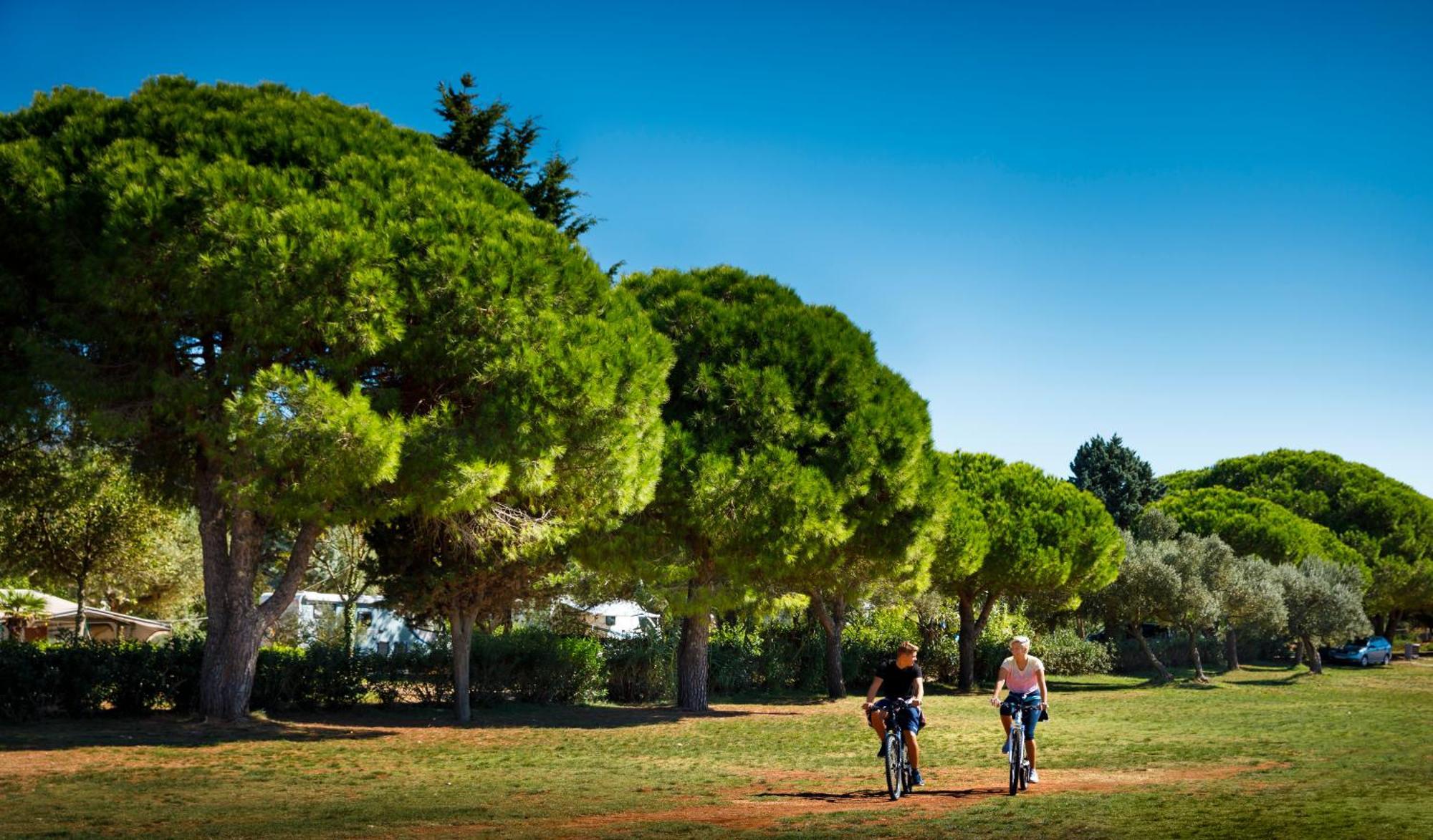 Maistra Amarin Pitches 4*